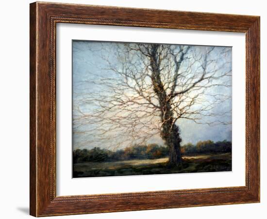 Sunlit Tree-Richard Willis-Framed Giclee Print