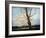 Sunlit Tree-Richard Willis-Framed Giclee Print