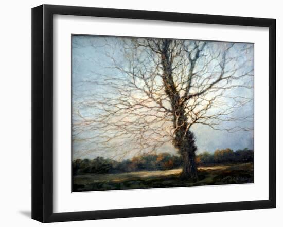 Sunlit Tree-Richard Willis-Framed Giclee Print