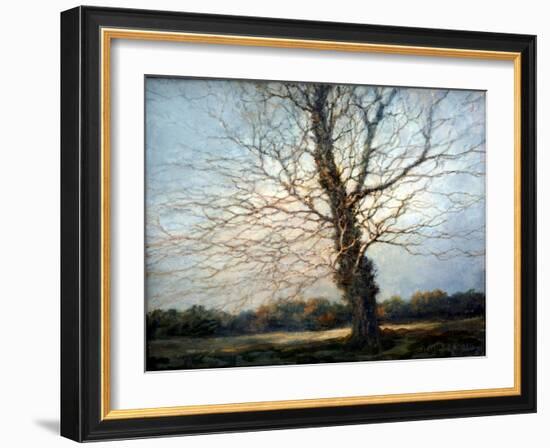 Sunlit Tree-Richard Willis-Framed Giclee Print