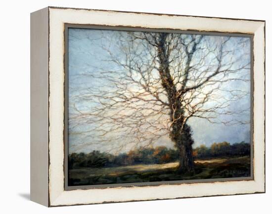 Sunlit Tree-Richard Willis-Framed Premier Image Canvas