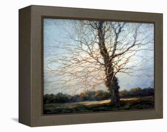 Sunlit Tree-Richard Willis-Framed Premier Image Canvas