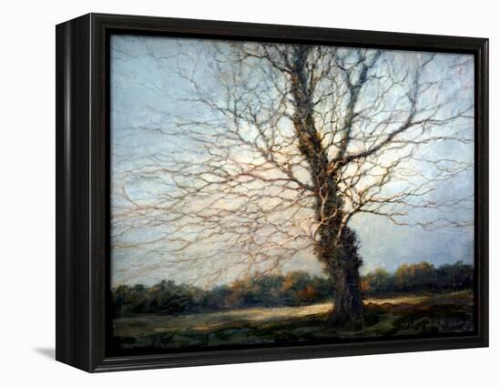 Sunlit Tree-Richard Willis-Framed Premier Image Canvas