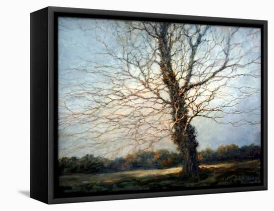 Sunlit Tree-Richard Willis-Framed Premier Image Canvas