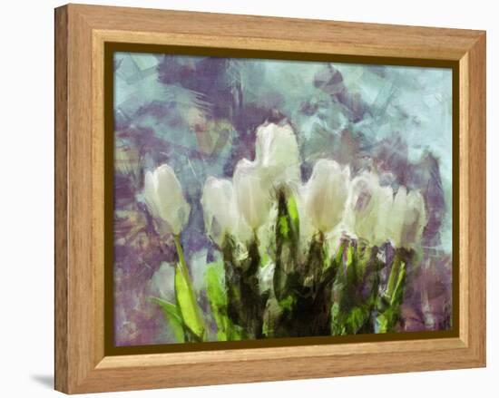 Sunlit Tulips II-Noah Bay-Framed Stretched Canvas