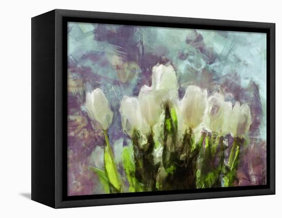 Sunlit Tulips II-Noah Bay-Framed Stretched Canvas