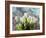 Sunlit Tulips II-Noah Bay-Framed Art Print