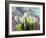 Sunlit Tulips II-Noah Bay-Framed Art Print