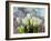 Sunlit Tulips II-Noah Bay-Framed Art Print