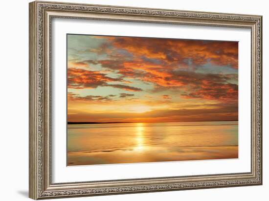 Sunlit-John Seba-Framed Art Print