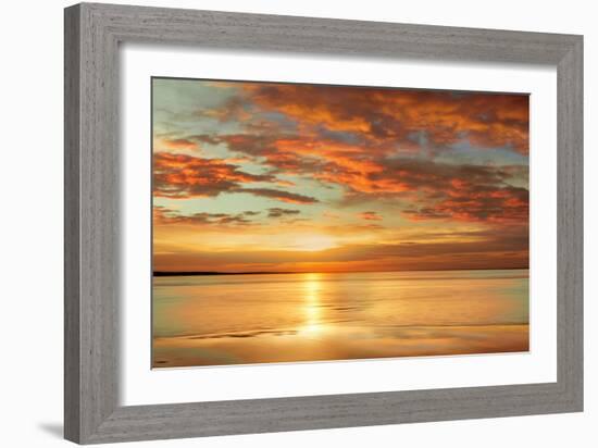 Sunlit-John Seba-Framed Art Print