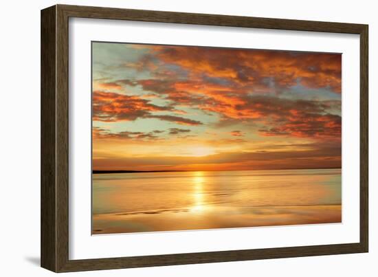 Sunlit-John Seba-Framed Art Print