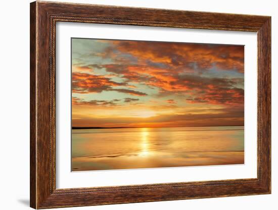 Sunlit-John Seba-Framed Art Print