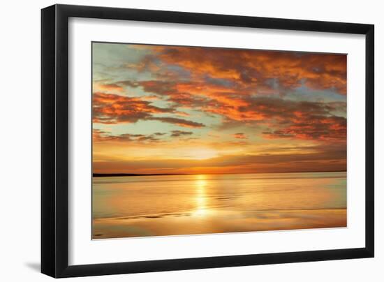 Sunlit-John Seba-Framed Art Print