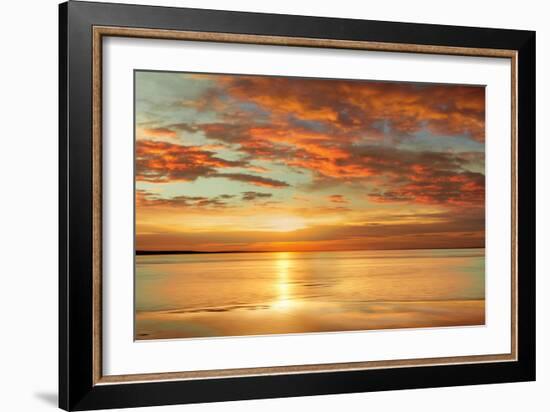 Sunlit-John Seba-Framed Art Print