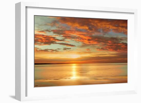 Sunlit-John Seba-Framed Art Print