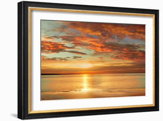 Sunlit-John Seba-Framed Art Print