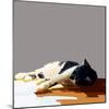 Sunning Kitties IV-Emily Kalina-Mounted Art Print