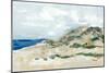 Sunny Beach Dune-Maya Woods-Mounted Art Print