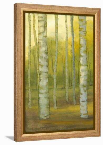 Sunny Birch Grove I-Julie Joy-Framed Stretched Canvas