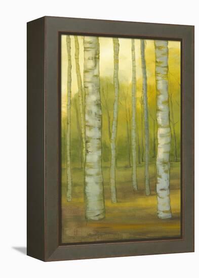 Sunny Birch Grove I-Julie Joy-Framed Stretched Canvas