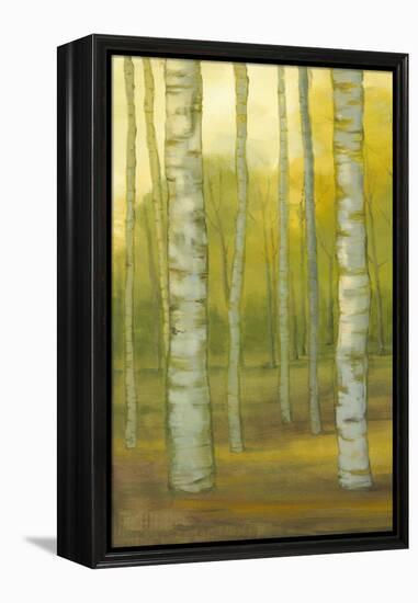 Sunny Birch Grove I-Julie Joy-Framed Stretched Canvas