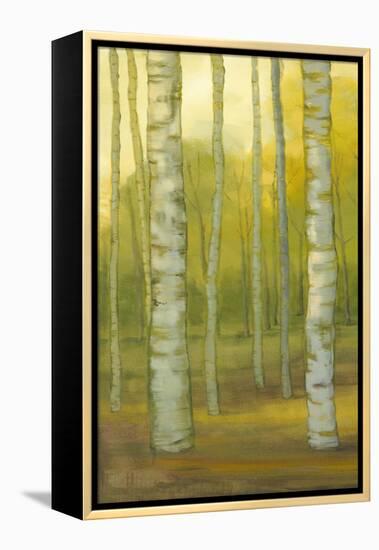 Sunny Birch Grove I-Julie Joy-Framed Stretched Canvas