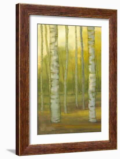 Sunny Birch Grove I-Julie Joy-Framed Art Print