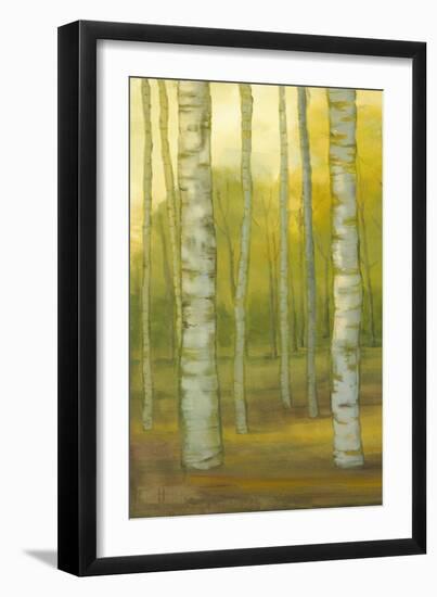 Sunny Birch Grove I-Julie Joy-Framed Art Print