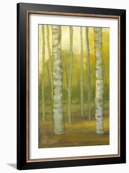 Sunny Birch Grove I-Julie Joy-Framed Art Print