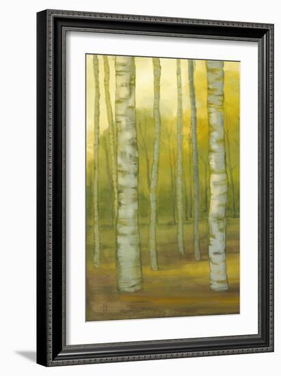 Sunny Birch Grove I-Julie Joy-Framed Art Print