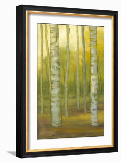 Sunny Birch Grove I-Julie Joy-Framed Art Print