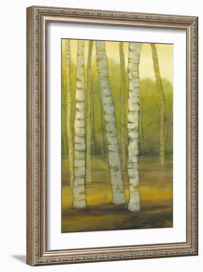 Sunny Birch Grove II-Julie Joy-Framed Art Print