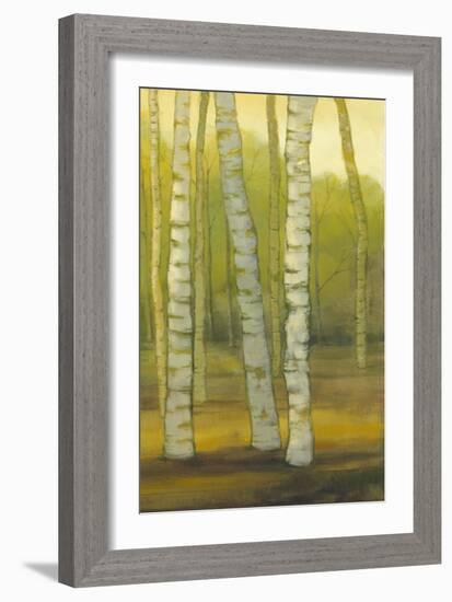 Sunny Birch Grove II-Julie Joy-Framed Art Print