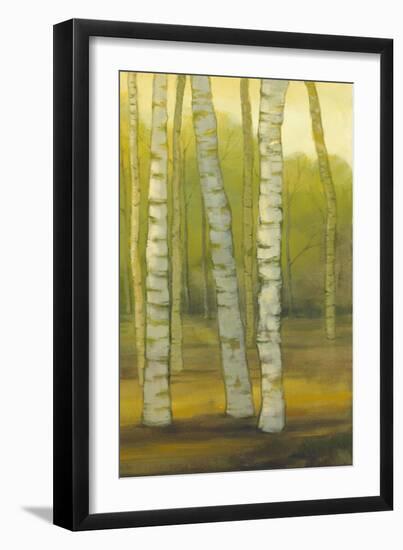 Sunny Birch Grove II-Julie Joy-Framed Art Print