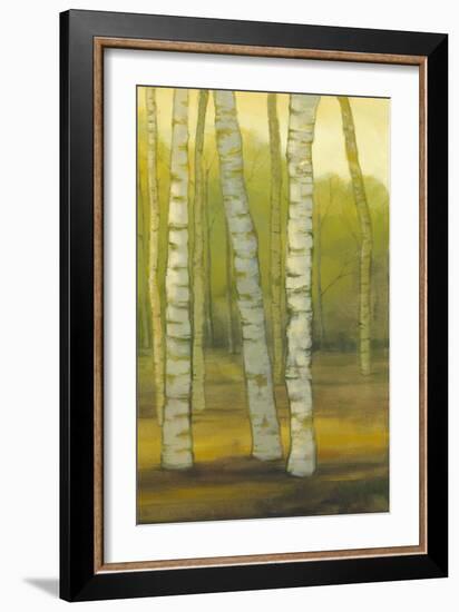 Sunny Birch Grove II-Julie Joy-Framed Art Print