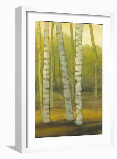 Sunny Birch Grove II-Julie Joy-Framed Art Print