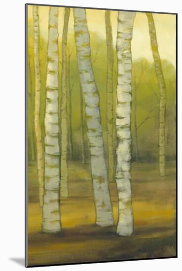 Sunny Birch Grove II-Julie Joy-Mounted Art Print