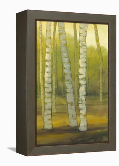 Sunny Birch Grove II-Julie Joy-Framed Stretched Canvas