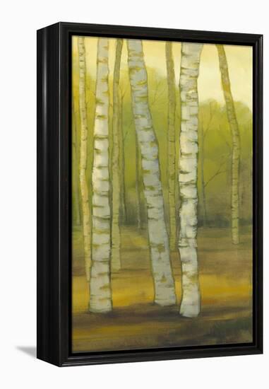 Sunny Birch Grove II-Julie Joy-Framed Stretched Canvas