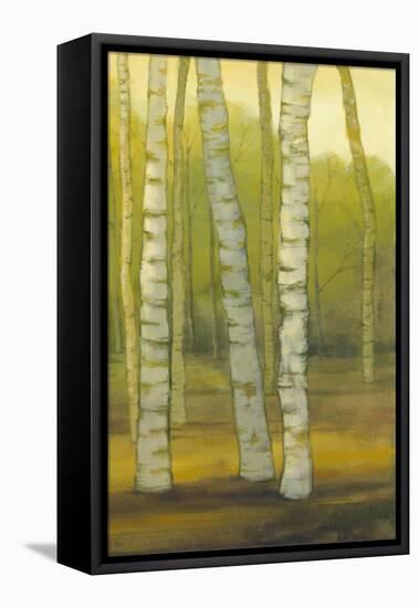 Sunny Birch Grove II-Julie Joy-Framed Stretched Canvas