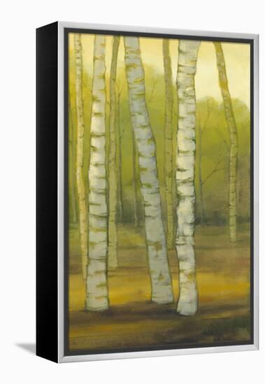 Sunny Birch Grove II-Julie Joy-Framed Stretched Canvas