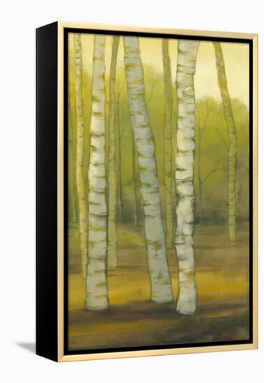 Sunny Birch Grove II-Julie Joy-Framed Stretched Canvas