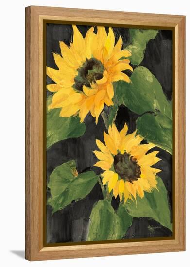 Sunny Blooms on Black-Albena Hristova-Framed Stretched Canvas