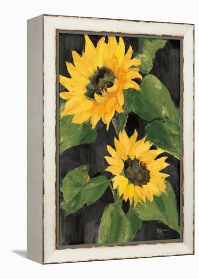 Sunny Blooms on Black-Albena Hristova-Framed Stretched Canvas