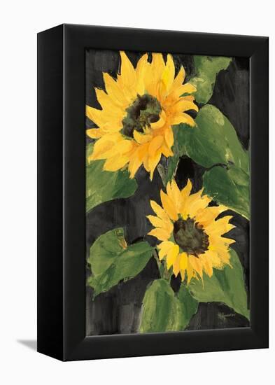 Sunny Blooms on Black-Albena Hristova-Framed Stretched Canvas