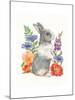 Sunny Bunny IV FB-Mary Urban-Mounted Art Print