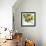 Sunny Charm-Tania Bello-Framed Giclee Print displayed on a wall