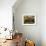 Sunny Courtyard-Marta Martonfi-Benke-Framed Giclee Print displayed on a wall