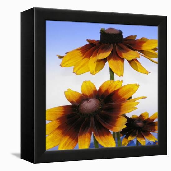 Sunny Day-Herb Dickinson-Framed Premier Image Canvas